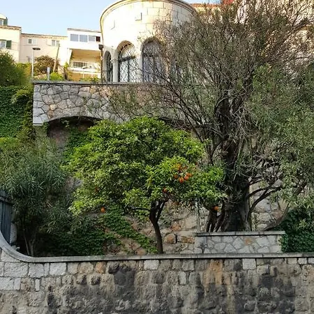 With Terrace Apartment